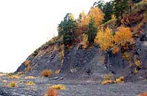 Таловские чаши
