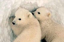 Заповедник