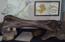 Иркутский областной краеведческий музей