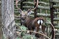 Национальный парк «Атарская Лука»