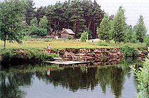 Орловское Полесье: тайга в 4 часах езды от Москвы