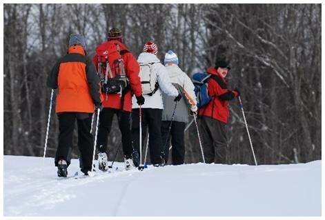 �� ������������ �����������. ��������: www.adrenalinetour.ru